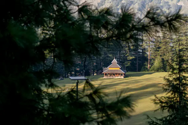 A wooden temple through the pines
