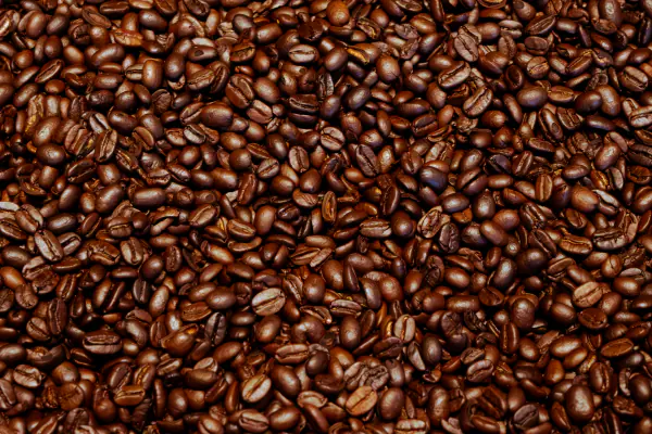 Beans