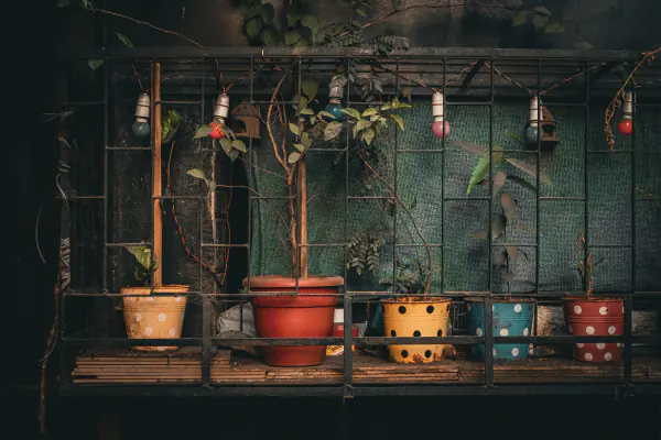 Pots on a rack