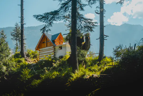 An orange roof among the cedars