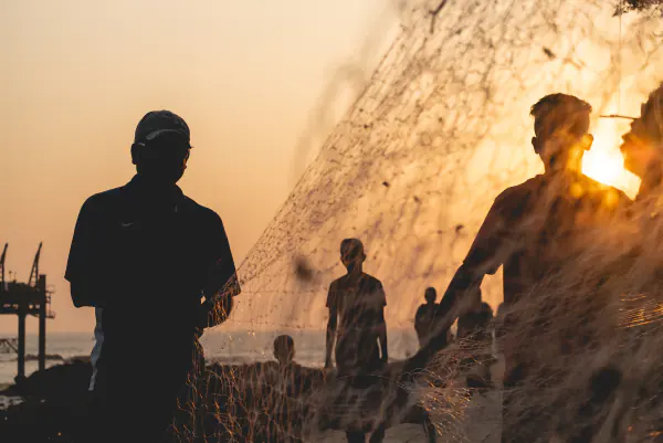 The net at sunset