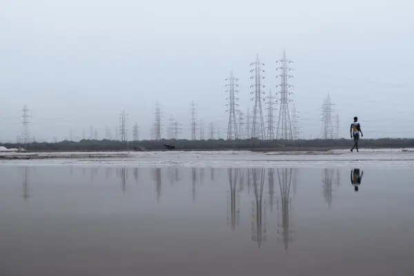Alone on the flats